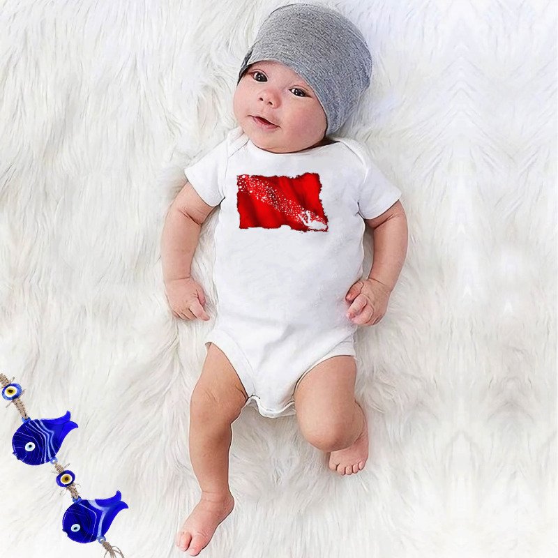 176-20-06-D00066_Muren_Dalis_Bayragi