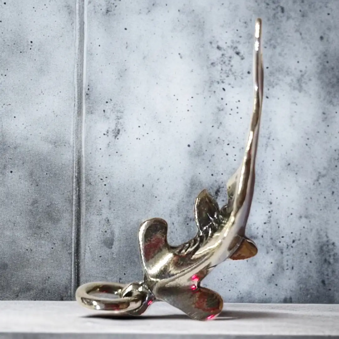 Photoroom-20250519_192353_20